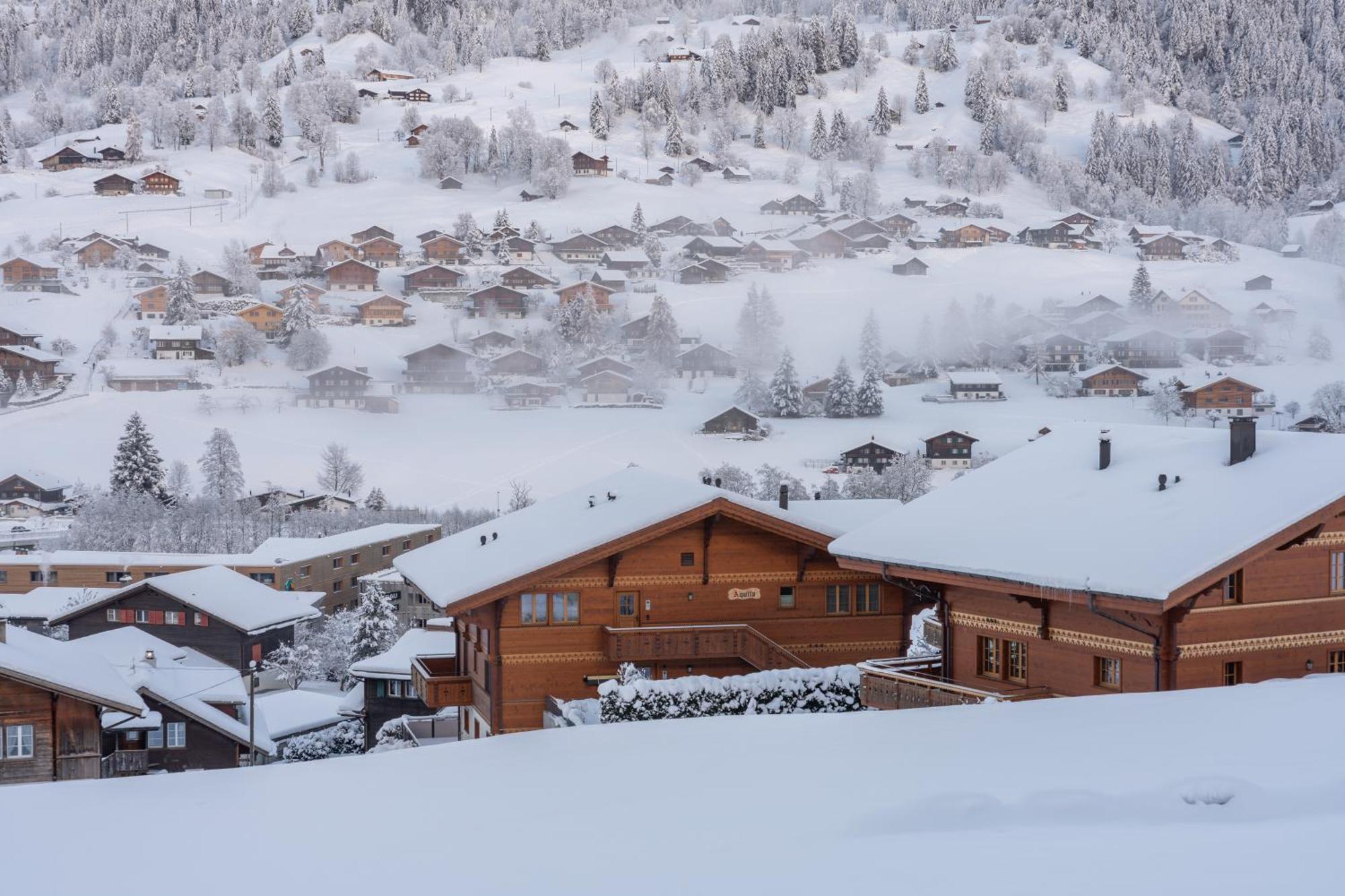Chalet Alia - Swiss Hotel Apartments Grindelwald Exterior foto